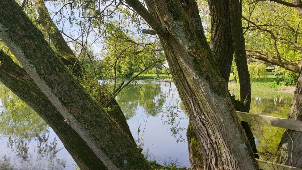 Holly Cottage, Hidden Gem In The Yorkshire Wolds Welton  Bagian luar foto