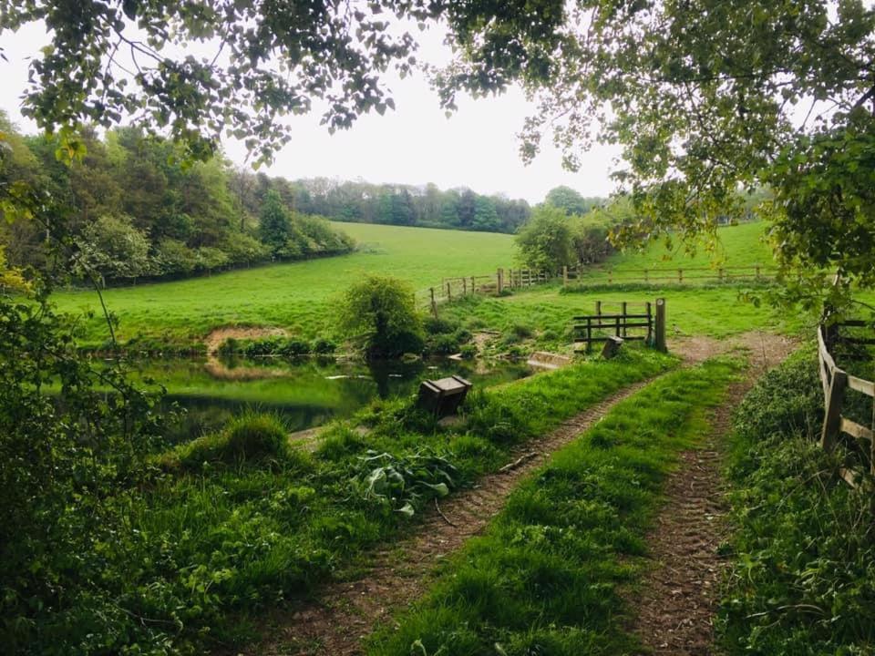 Holly Cottage, Hidden Gem In The Yorkshire Wolds Welton  Bagian luar foto